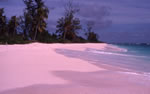 Photo 1: Bird Island beach