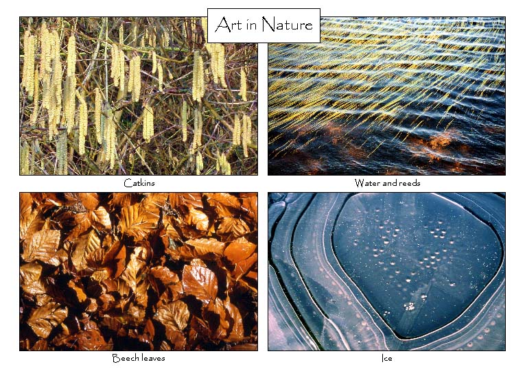 Art in Nature: 4-view card 