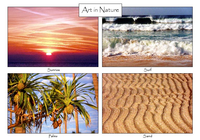 Art in Nature: 4-view card 