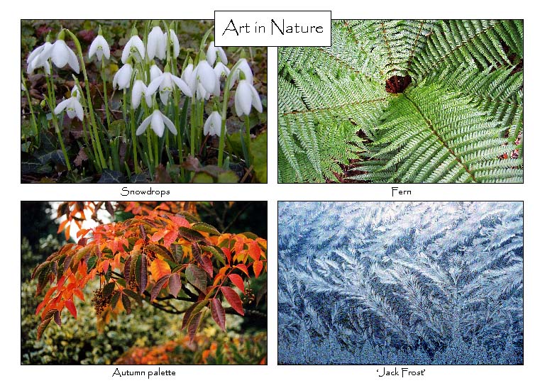 Art in Nature: 4-view card 