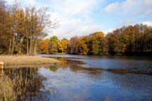 Cannop Ponds, Forest of Dean