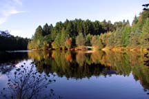 Mallard's Pike Lake