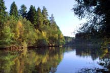 Mallard's Pike Lake