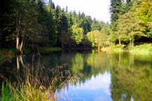 Soudley Ponds