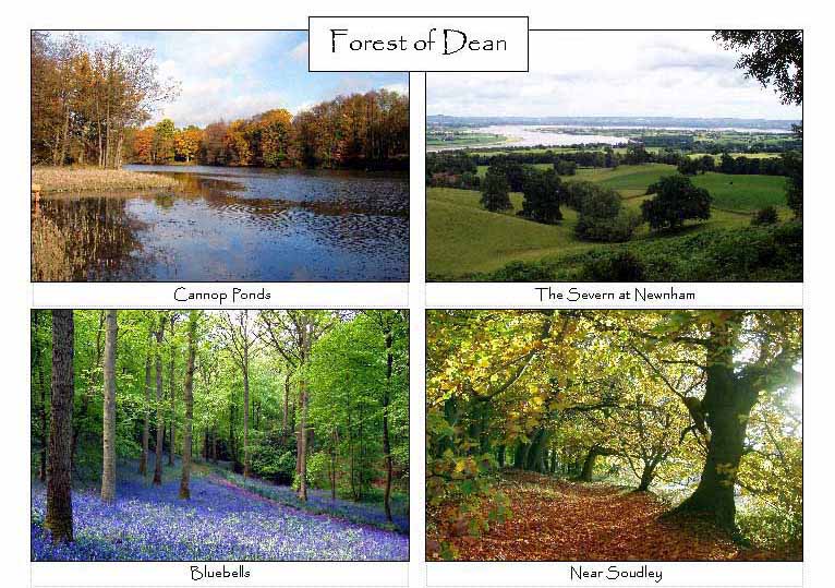 Forest of Dean: 4-view card 