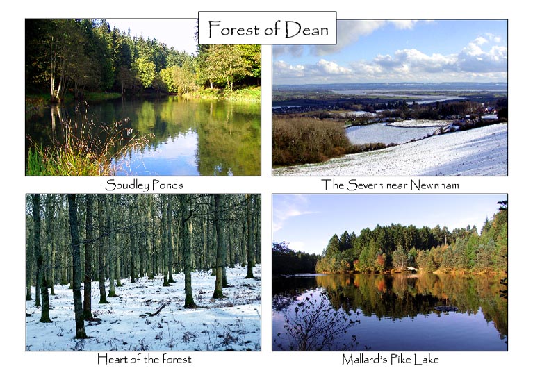 Forest of Dean: 4-view card