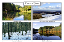 Forest of Dean: 4-view card