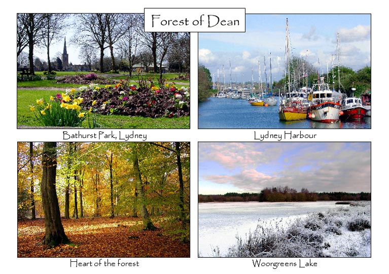 Forest of Dean: 4-view card