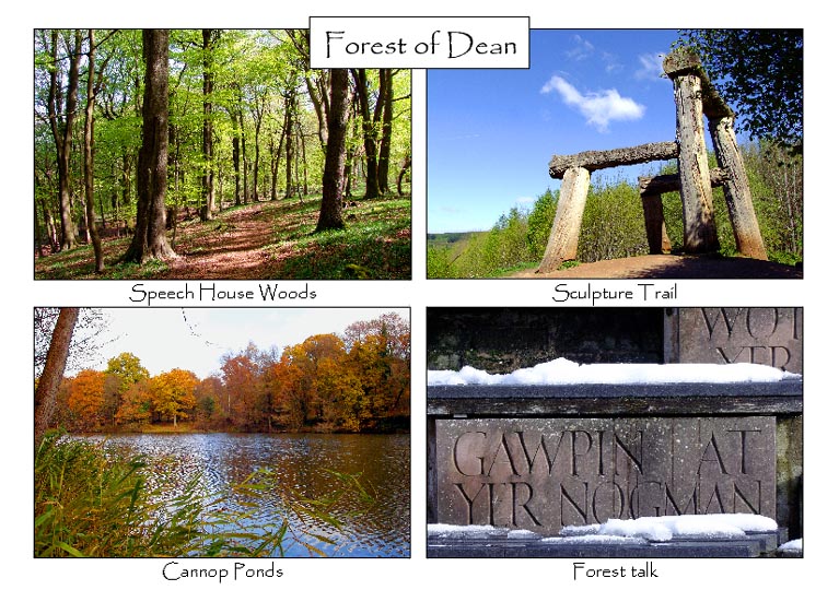 Forest of Dean: 4-view card