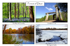 Forest of Dean: 4-view card