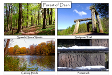 Forest of Dean: 4-view card