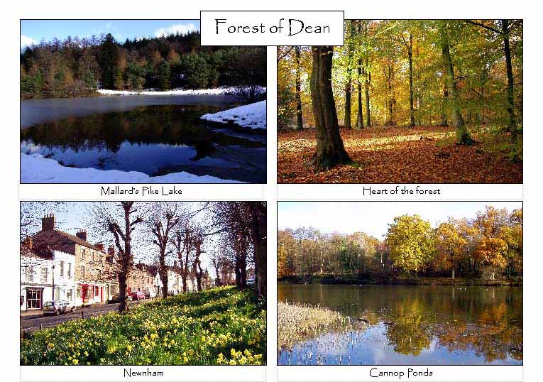 Forest of Dean: 4-view card