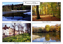 Forest of Dean: 4-view card