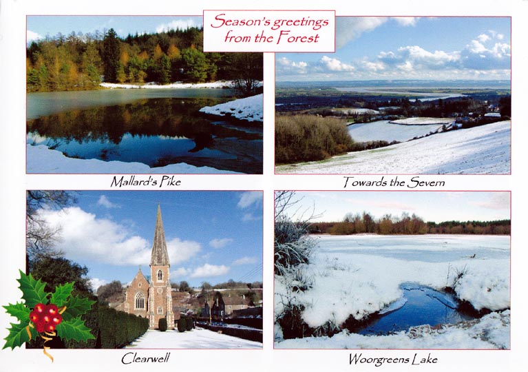 Forest of Dean: 4-view Christmas card