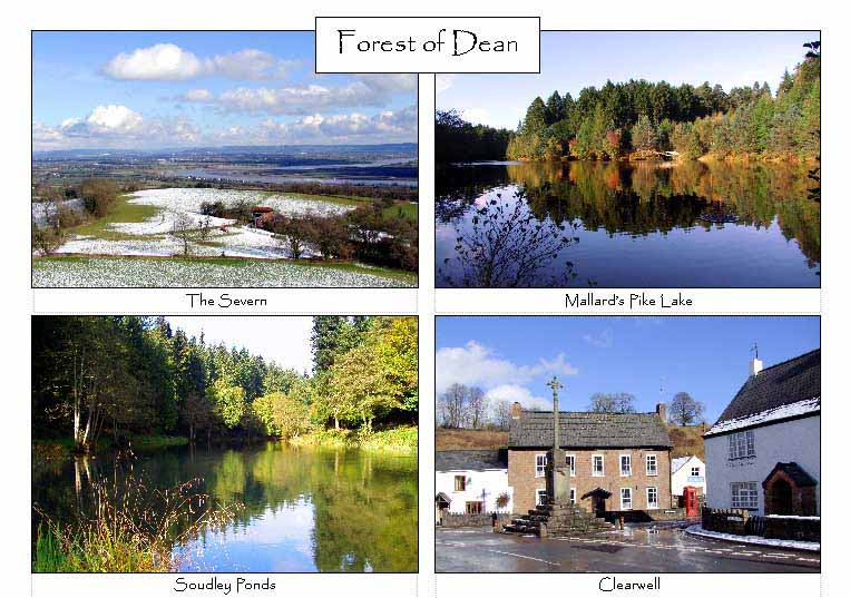 Forest of Dean: 4-view card