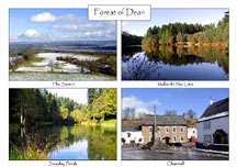 Forest of Dean: 4-view card