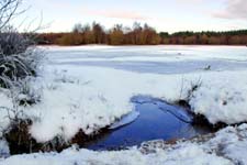 Woorgreens Lake