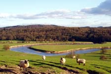 Oxbow bend near Sheinton