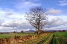 The Wrekin viewed from Harnage