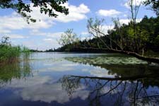 Cole Mere, Ellesmere