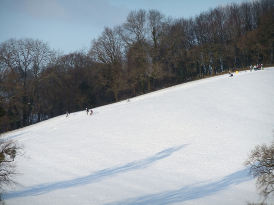 Skiers near Lady Hill Wood