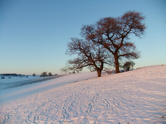 Late afternoon, near Llandenny