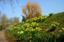 Conigar Walk, Usk