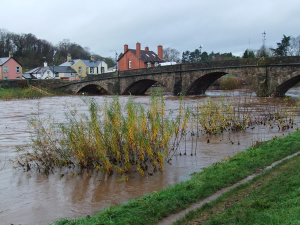 The River Usk in spate, 25.11.12