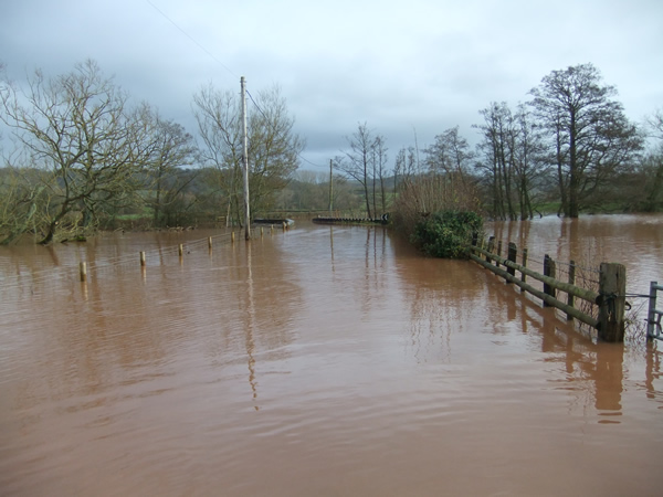 Near Adrian Court (the road to Llanllowell), 25.11.12