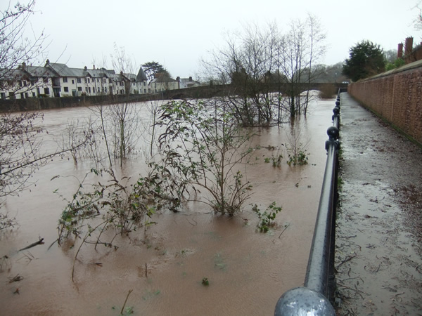 The Usk in spate, 24.12.13