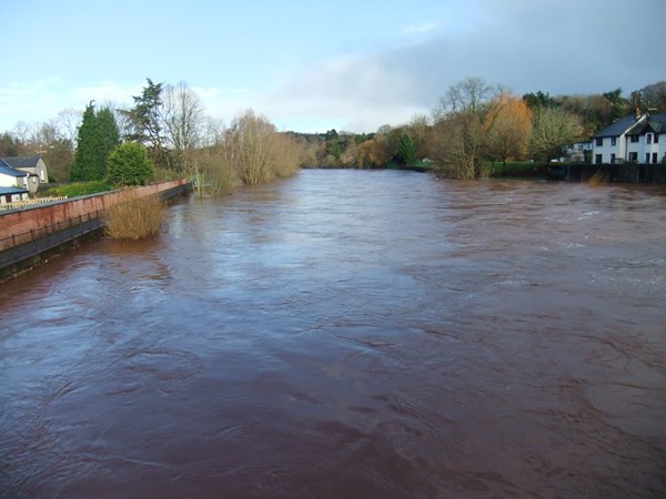 The River Usk in full flow, 24.12.13