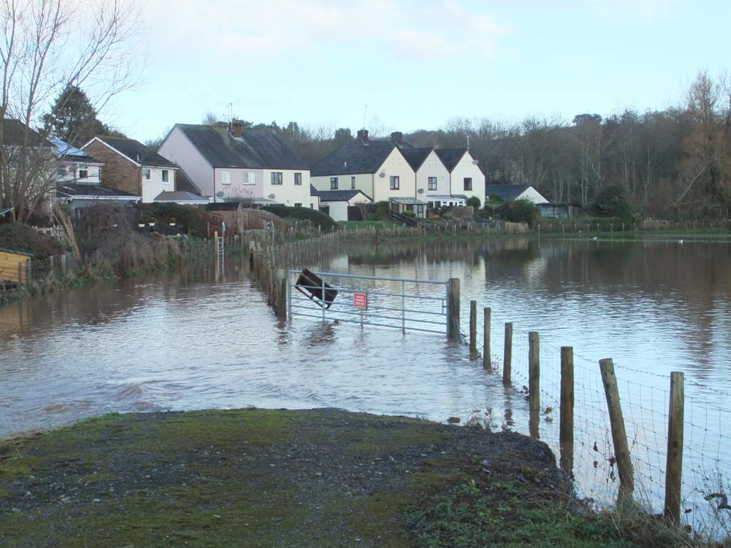 Field flooded at the east side of town, 24.12.20