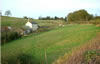 Near Coed Cwnwr