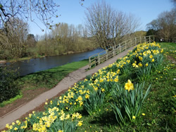 Conigar Walk and River Usk