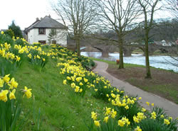 River Usk east bank and Usk Bridge