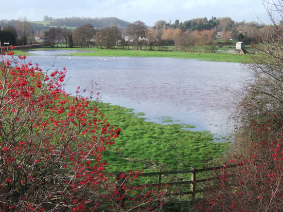 Flooded field on the east side of Usk