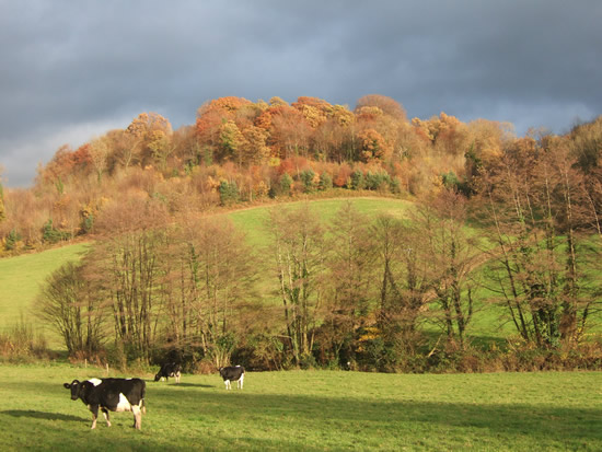 near Llancayo, north of Usk