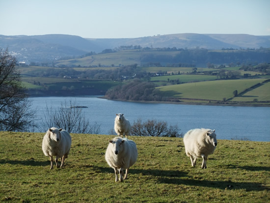 Llandegfedd Reservoir