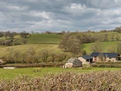 Near the area called Llandenny Walks