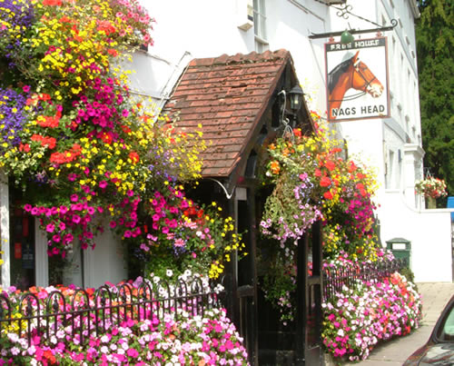 The Nag's Head Inn, Usk photographed on 18.08.05