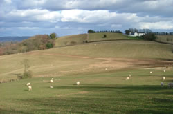 East of Mardy Hill Wood