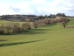 North east of Usk
