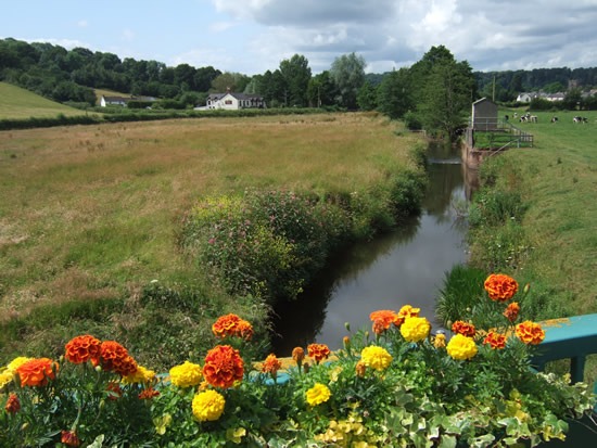 The Olway Brook