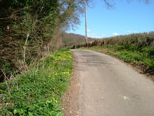 Quiet lane on a beautiful Spring afternoon (05.04.06)