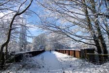 Old railway bridge, Usk