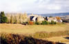 Ty Freeman Farm