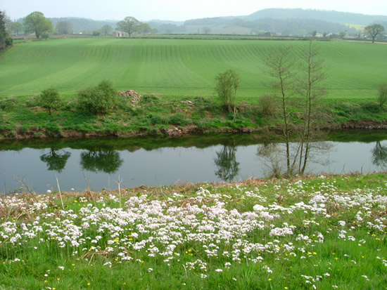 The Usk 3 miles north of the town