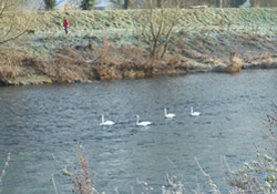 River Usk near Llanbadoc Church