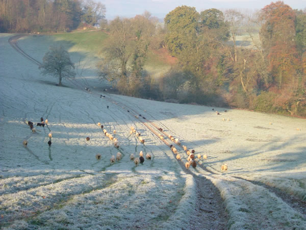 West of Usk on a frosty morning