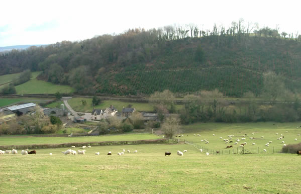 West of Llanbadoc